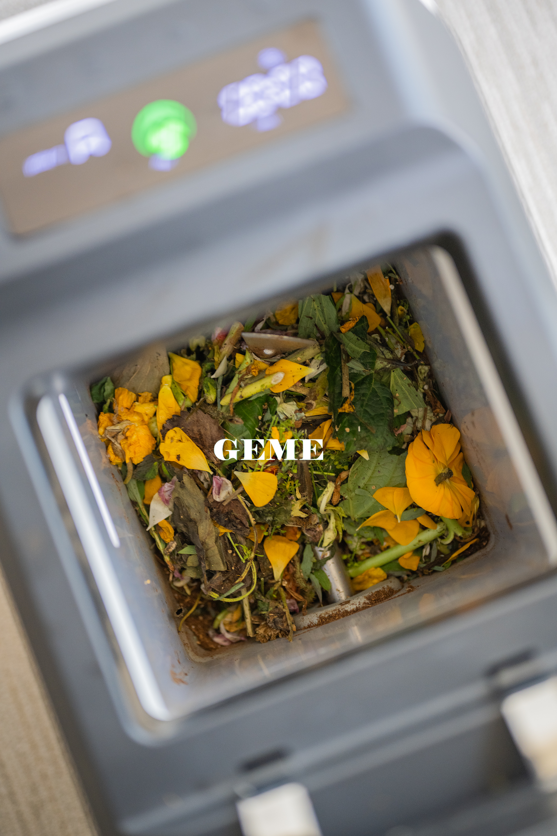 The Best Kitchen Composter 2026: GEME Terra 2