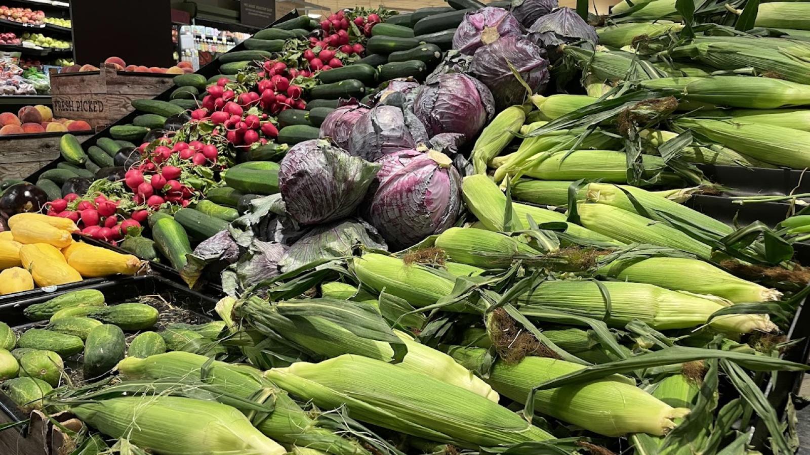 NYC Fines for Food Waste Are Back